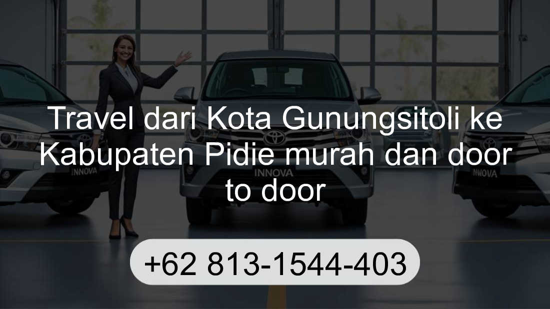 Travel Kota Gunungsitoli Kabupaten Pidie